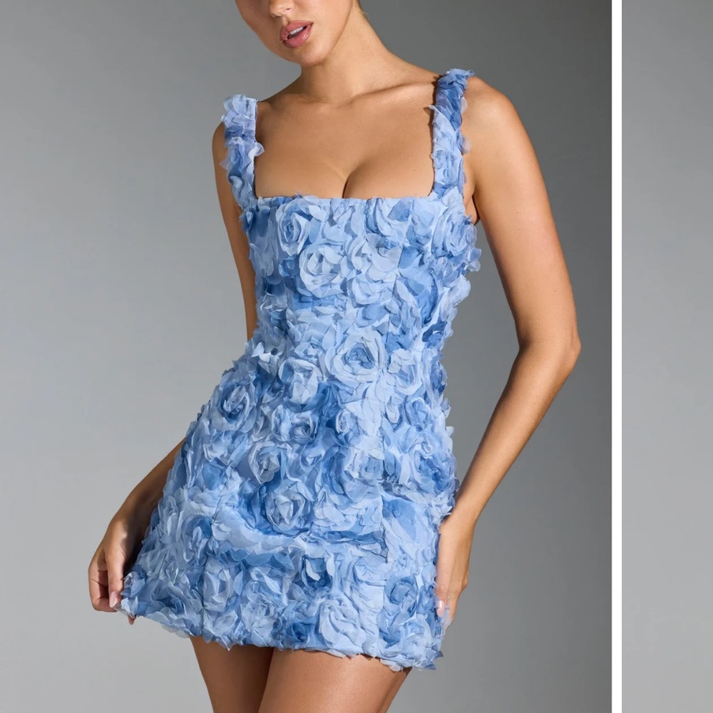 Oh Polly Light Blue Rose Mini Dress